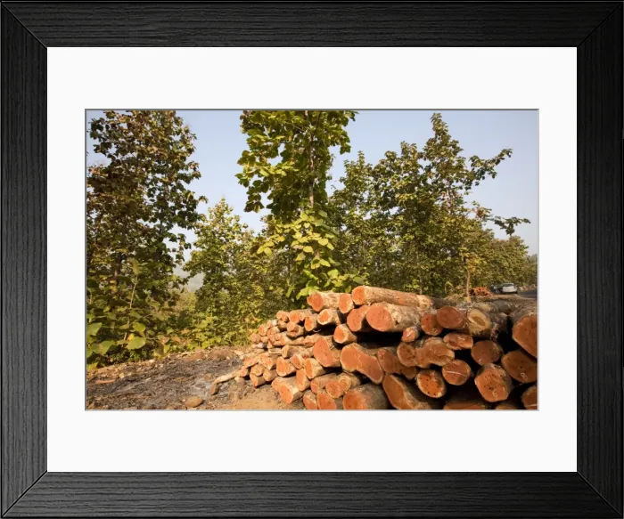 Framed Print : Picture No. 10898218 Framed Print : Picture No. 10898218