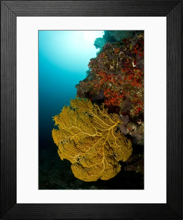 Framed Print : Picture No. 10892945 Framed Print : Picture No. 10892945