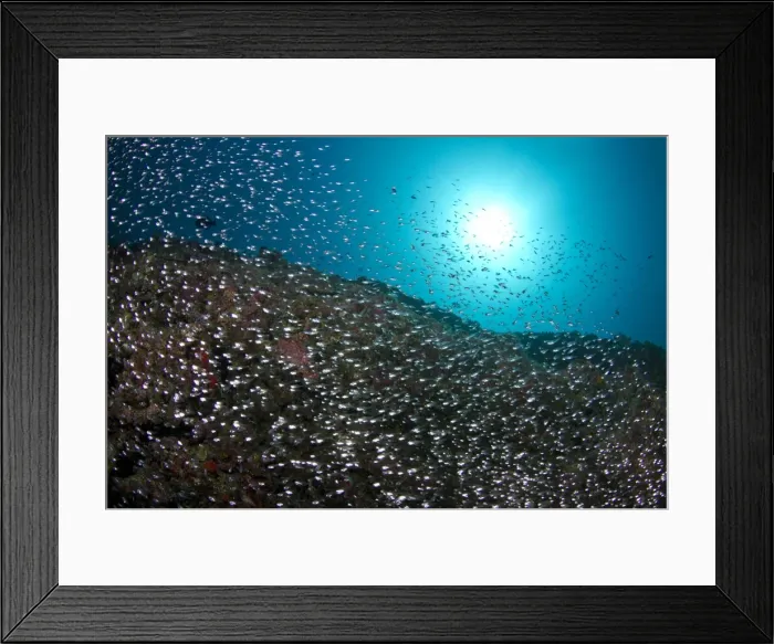 Framed Print : Picture No. 10892951 Framed Print : Picture No. 10892951