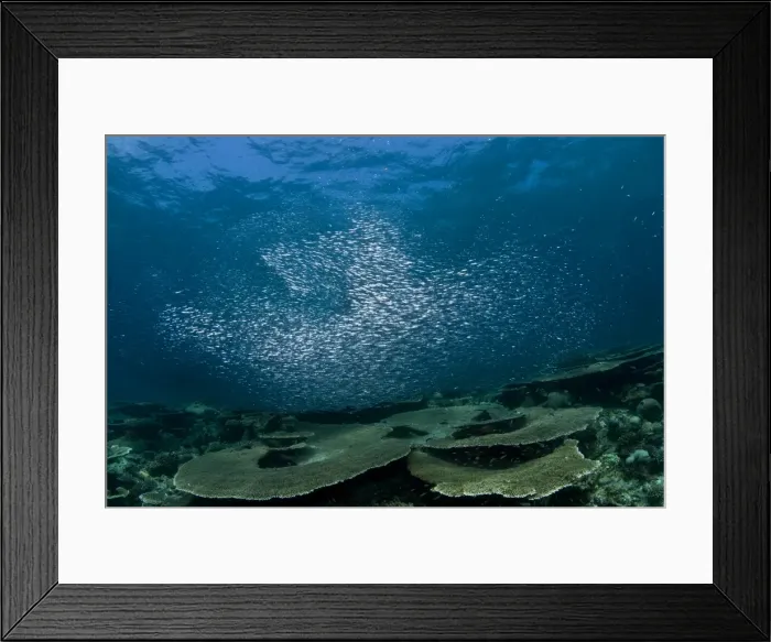 Framed Print : Picture No. 10892963 Framed Print : Picture No. 10892963