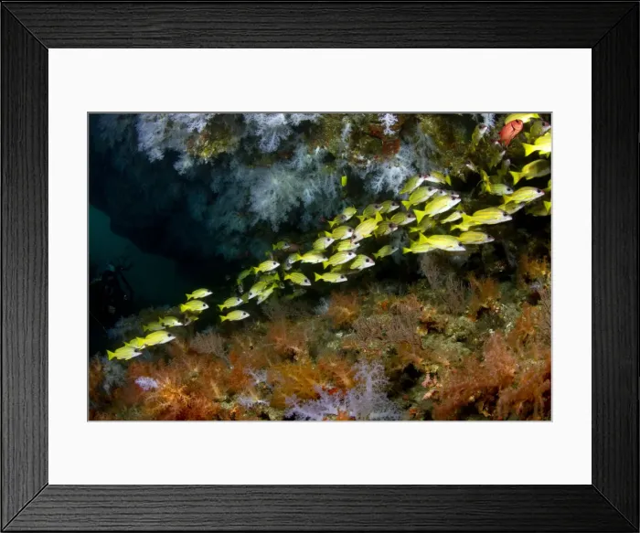 Framed Print : Picture No. 10892968