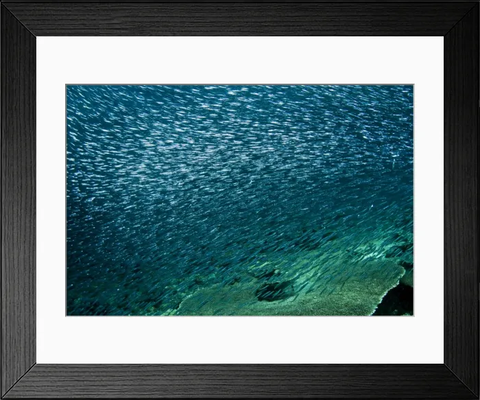 Framed Print : Picture No. 10892962 Framed Print : Picture No. 10892962