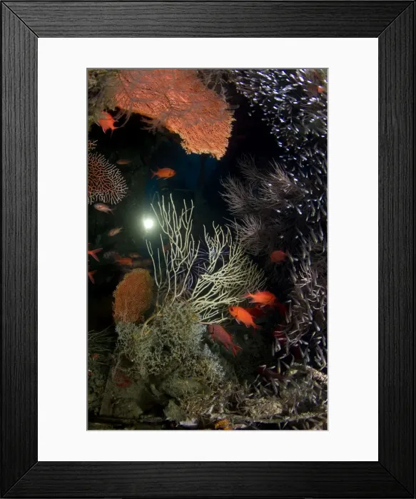 Framed Print : Picture No. 10892969 Framed Print : Picture No. 10892969