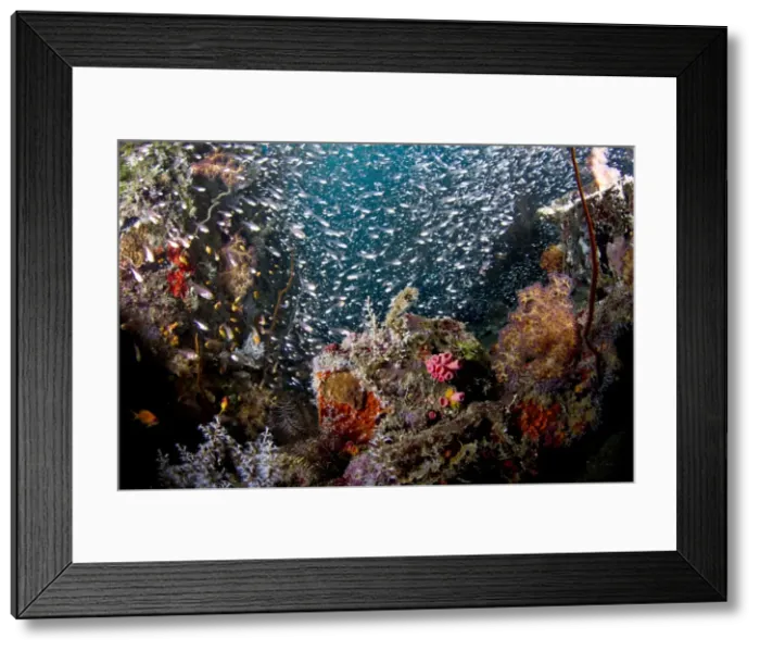 Framed Print : Picture No. 10892971 Framed Print : Picture No. 10892971