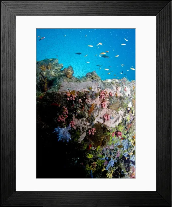 Framed Print : Picture No. 10892970 Framed Print : Picture No. 10892970