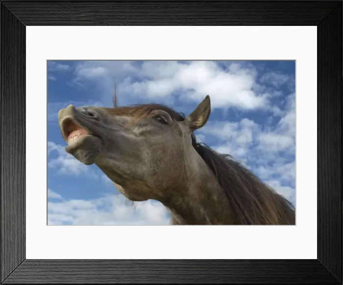 Framed Print : Picture No. 10898318 Framed Print : Picture No. 10898318
