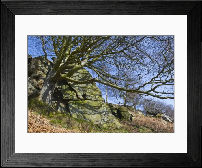 Framed Print : Picture No. 10893859 Framed Print : Picture No. 10893859