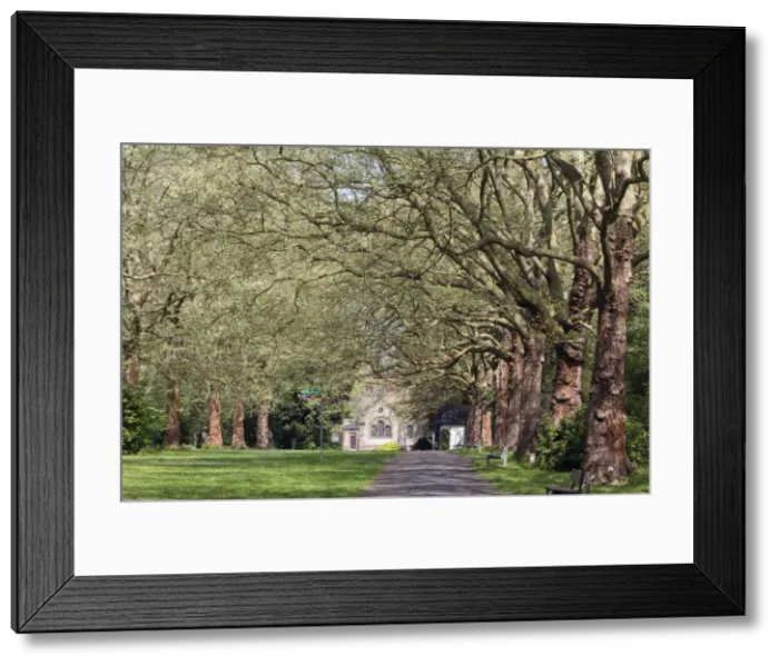 Framed Print : Picture No. 10893870 Framed Print : Picture No. 10893870