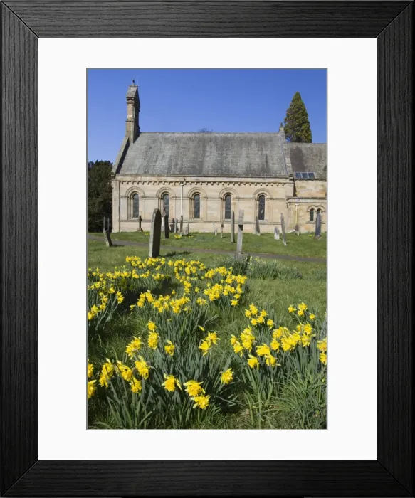 Framed Print : Picture No. 10893876 Framed Print : Picture No. 10893876