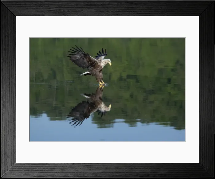Framed Print : Picture No. 10893892 Framed Print : Picture No. 10893892