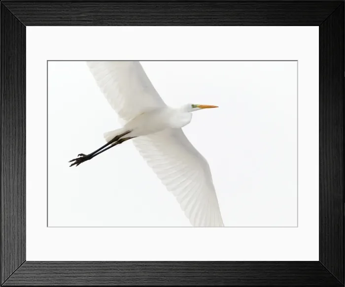 Framed Print : Picture No. 10893898 Framed Print : Picture No. 10893898