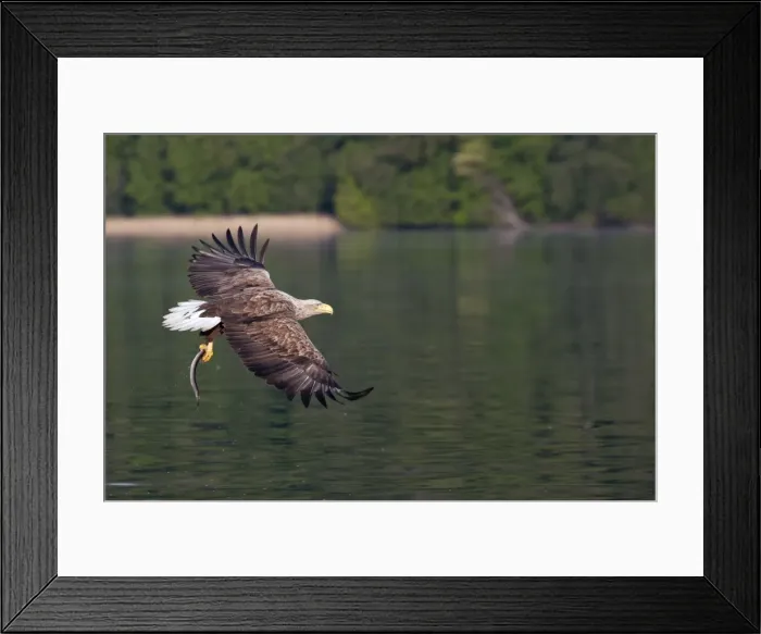 Framed Print : Picture No. 10893896 Framed Print : Picture No. 10893896