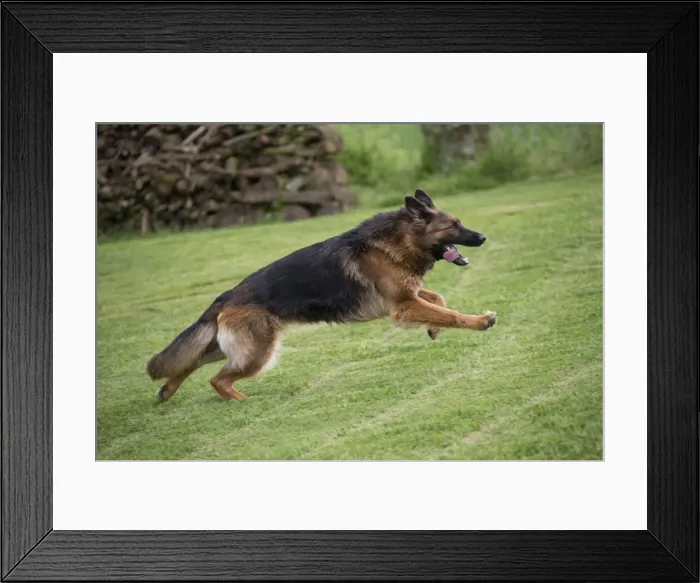 Framed Print : Picture No. 10898397 Framed Print : Picture No. 10898397
