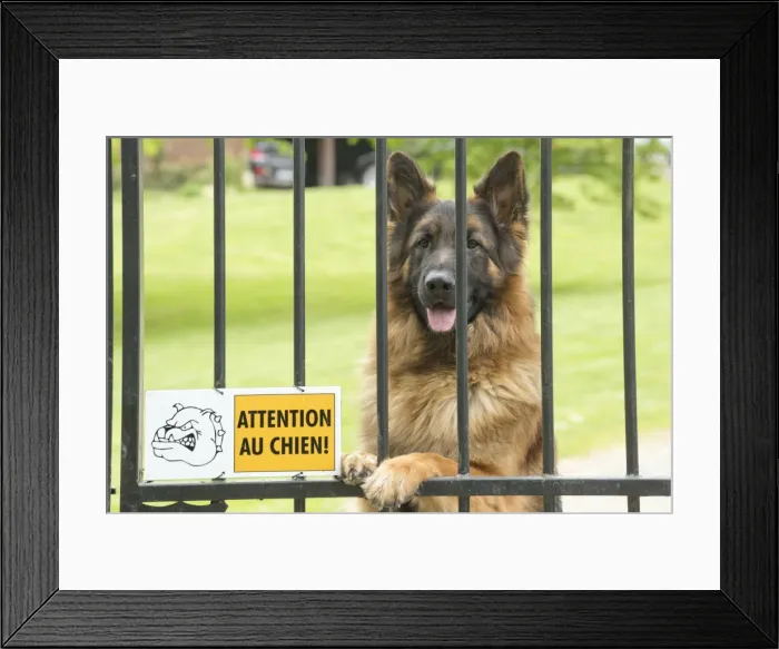 Framed Print : Picture No. 10898436 Framed Print : Picture No. 10898436