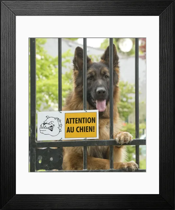 Framed Print : Picture No. 10898437 Framed Print : Picture No. 10898437