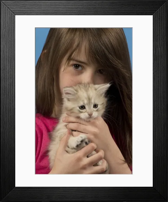 Framed Print : Picture No. 10898444 Framed Print : Picture No. 10898444