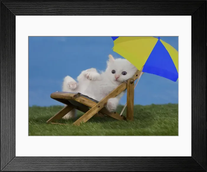 Framed Print : Picture No. 10898443 Framed Print : Picture No. 10898443