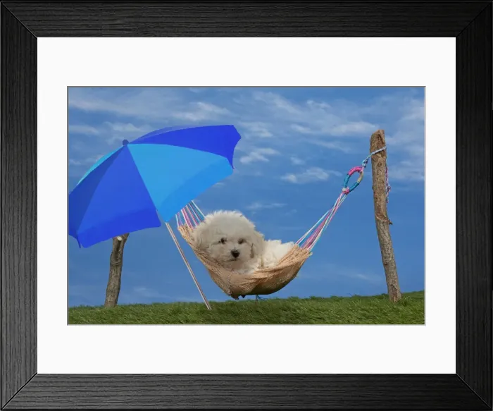 Framed Print : Picture No. 10898442 Framed Print : Picture No. 10898442