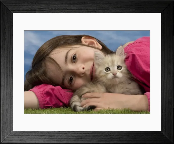 Framed Print : Picture No. 10898446 Framed Print : Picture No. 10898446