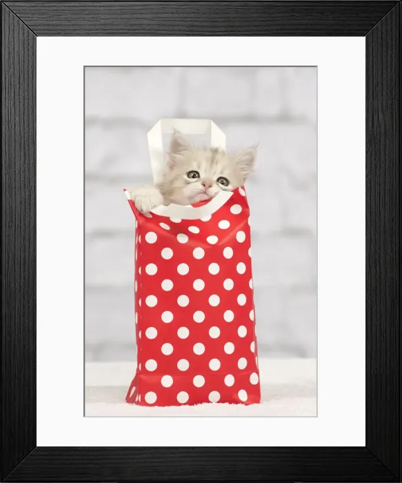 Framed Print : Picture No. 10898488 Framed Print : Picture No. 10898488