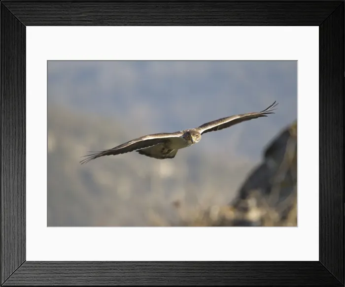 Framed Print : Picture No. 10898502 Framed Print : Picture No. 10898502