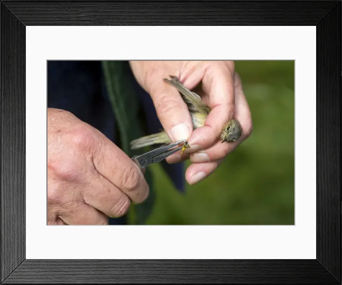 Framed Print : Picture No. 10898492 Framed Print : Picture No. 10898492