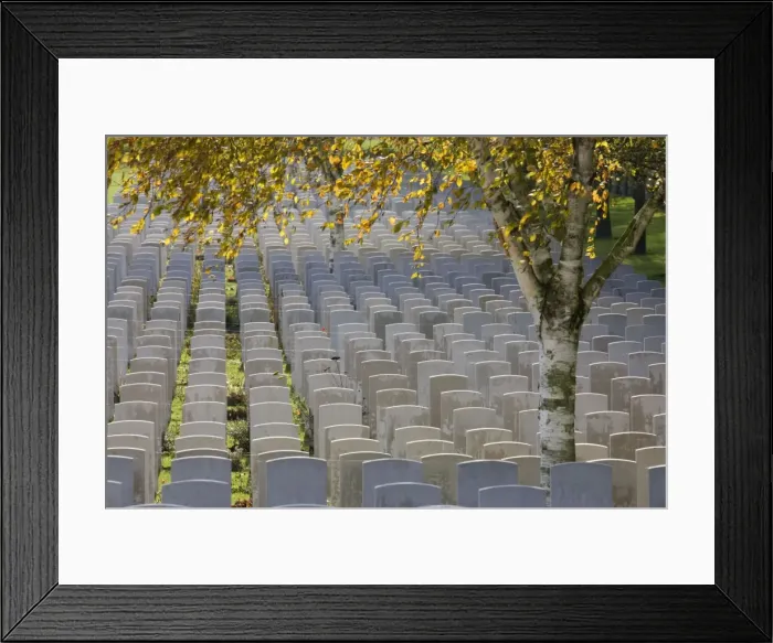 Framed Print : Picture No. 10894829 Framed Print : Picture No. 10894829