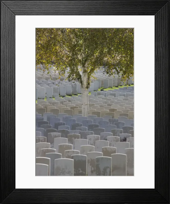 Framed Print : Picture No. 10894830 Framed Print : Picture No. 10894830