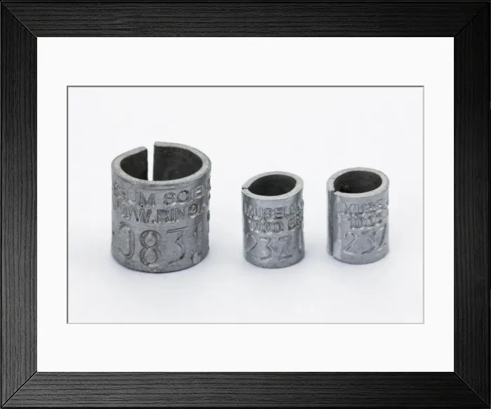 Framed Print : Picture No. 10894841 Framed Print : Picture No. 10894841