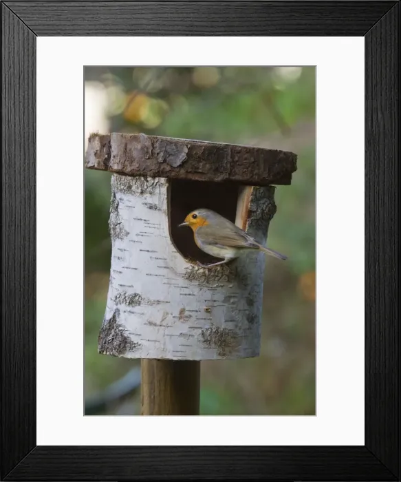 Framed Print : Picture No. 10894843 Framed Print : Picture No. 10894843