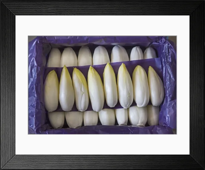 Framed Print : Picture No. 10894850 Framed Print : Picture No. 10894850