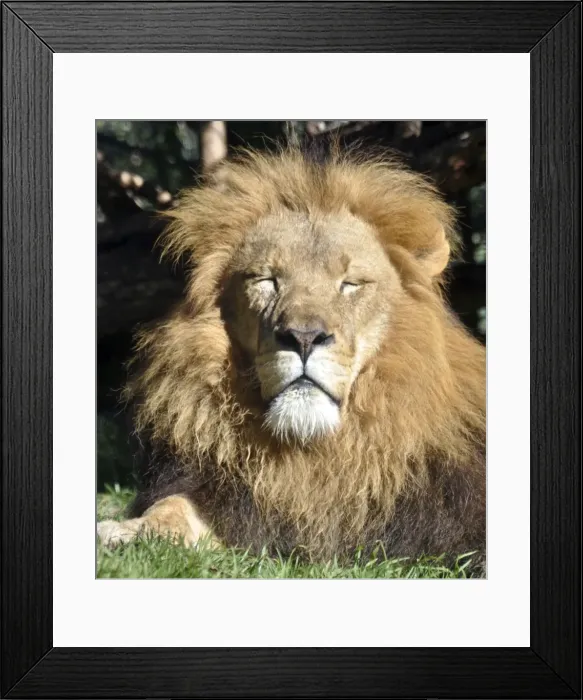 Framed Print : Picture No. 10894865 Framed Print : Picture No. 10894865