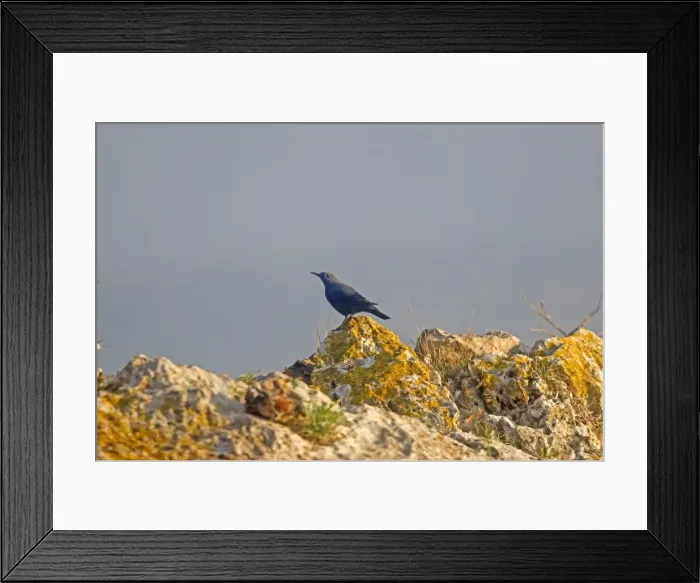Framed Print : Picture No. 10898527 Framed Print : Picture No. 10898527