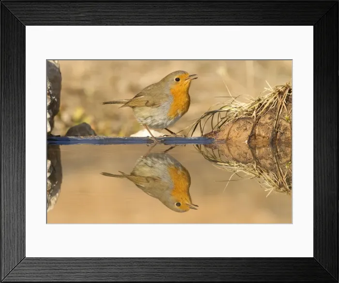 Framed Print : Picture No. 10898540 Framed Print : Picture No. 10898540