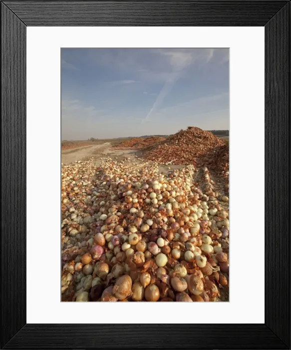 Framed Print : Picture No. 10898537 Framed Print : Picture No. 10898537