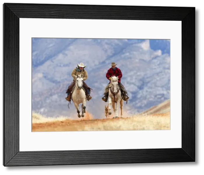 Framed Print : Picture No. 10898555 Framed Print : Picture No. 10898555