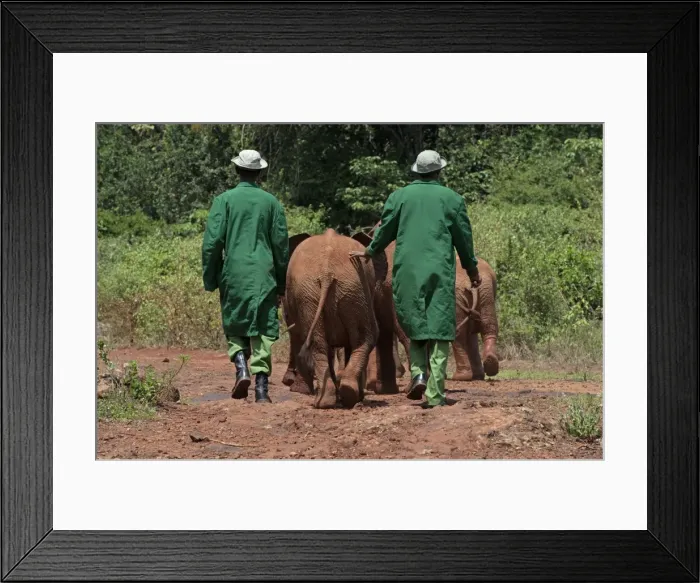 Framed Print : Picture No. 10895573 Framed Print : Picture No. 10895573