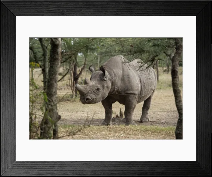 Framed Print : Picture No. 10895576 Framed Print : Picture No. 10895576