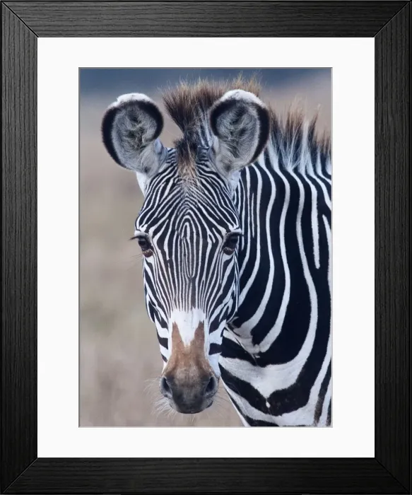 Framed Print : Picture No. 10895579 Framed Print : Picture No. 10895579