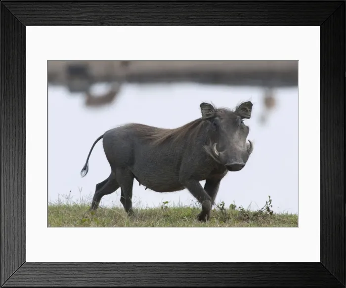 Framed Print : Picture No. 10895587 Framed Print : Picture No. 10895587