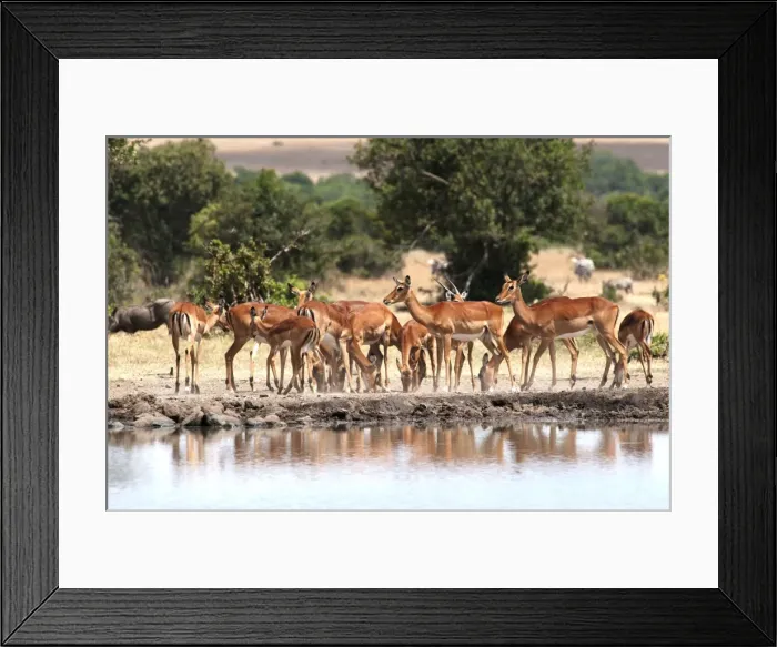 Framed Print : Picture No. 10895590