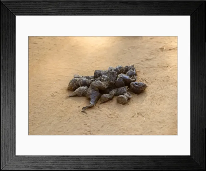 Framed Print : Picture No. 10898706 Framed Print : Picture No. 10898706