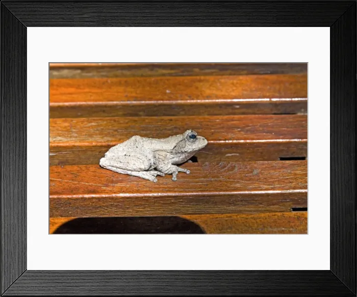 Framed Print : Picture No. 10898719 Framed Print : Picture No. 10898719