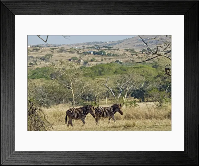 Framed Print : Picture No. 10898725 Framed Print : Picture No. 10898725