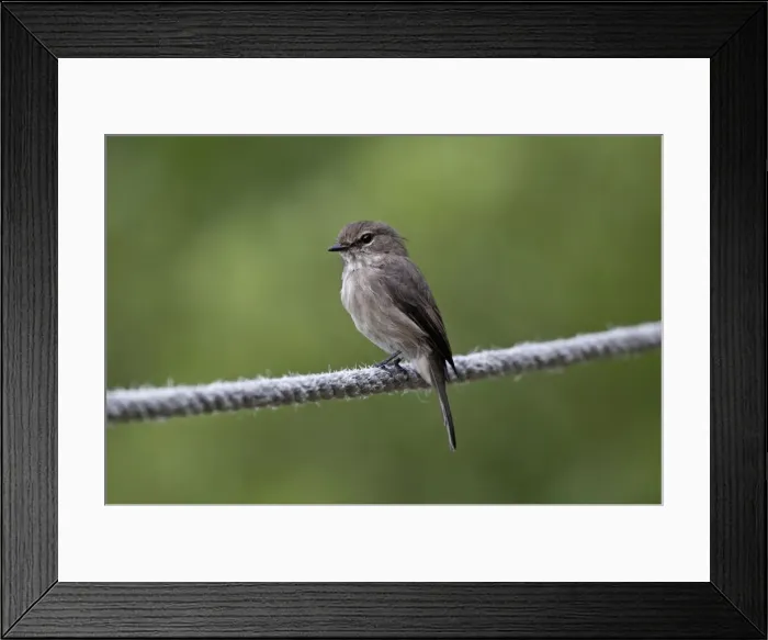 Framed Print : Picture No. 10898727 Framed Print : Picture No. 10898727