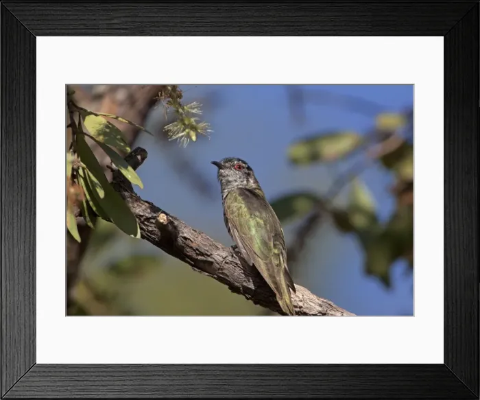 Framed Print : Picture No. 10898749 Framed Print : Picture No. 10898749