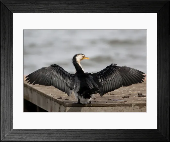Framed Print : Picture No. 10898788 Framed Print : Picture No. 10898788