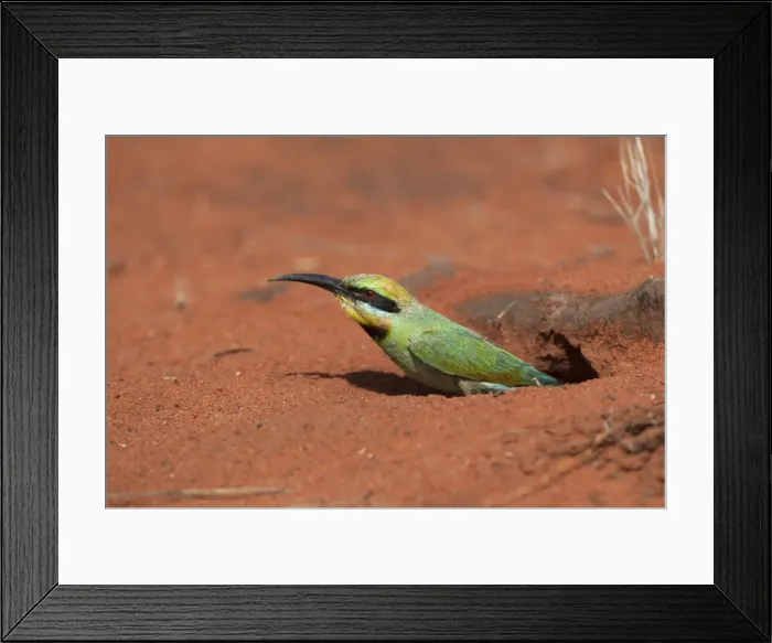 Framed Print : Picture No. 10898797 Framed Print : Picture No. 10898797