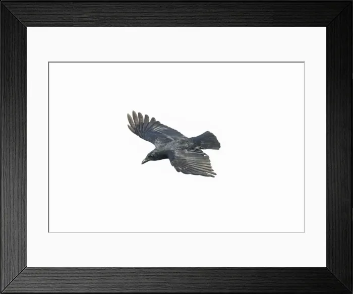 Framed Print : Picture No. 10898808 Framed Print : Picture No. 10898808