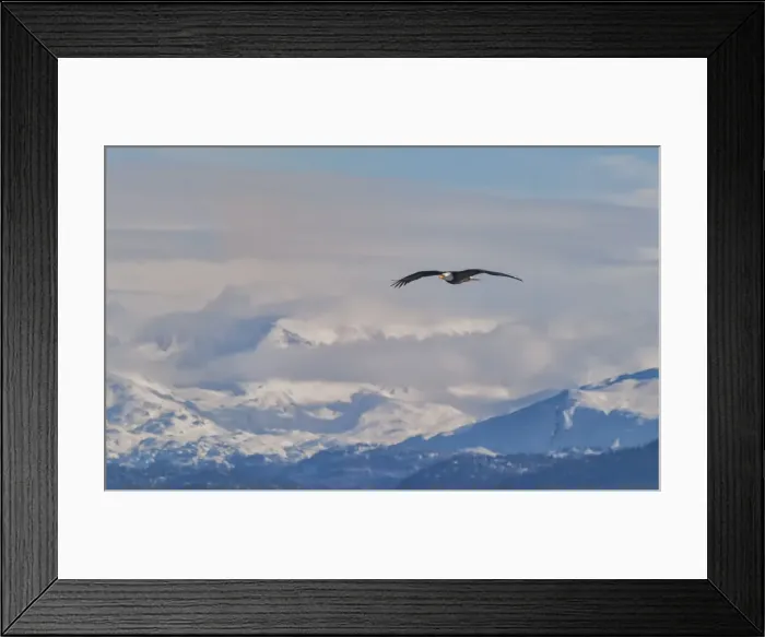 Framed Print : Picture No. 10898815 Framed Print : Picture No. 10898815